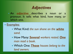 Adjectives & Articles [Autosaved]