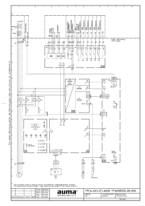 Wiring Diagram TPCA-0A1-1C1-A000TPA00R200-0I1-000 de DE en US