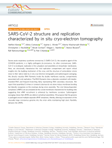 SARS-CoV-2 structure and replication characterized by in situ cryo-electron tomography