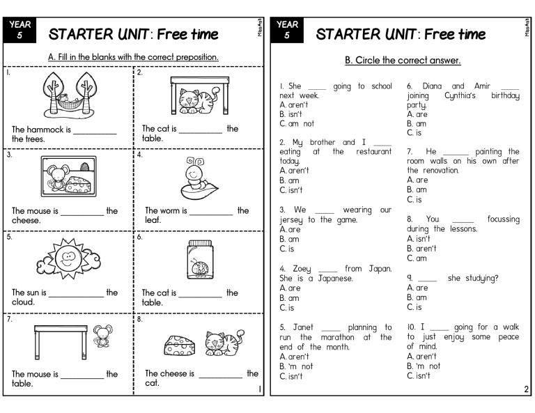 Year 5 Assessment 1