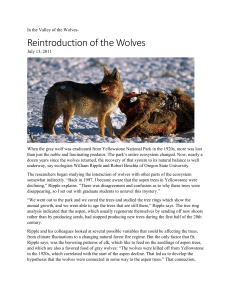 Reintroduction of the Wolves article
