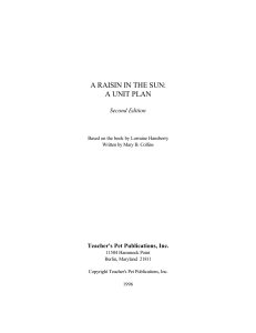 RaisinintheSun