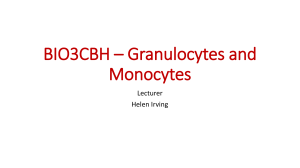 BIO3CBH - Haematology Lecture 2A Granulocytes and monocytes