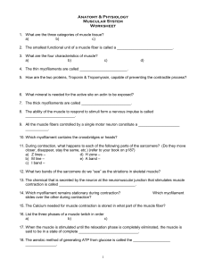 MUSCLE TISSUE STUDY GUIDE