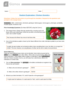 Chicken Genetics Gizmo Worksheet Answer Key / Chicken Genetics Gizmo