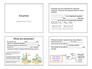 (student) enzymes