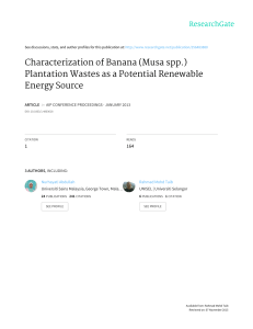 Characterization of Banana (Musa spp.) Plantation