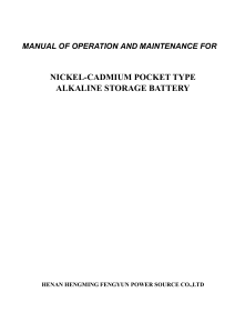 2021 Pocket battery Manual