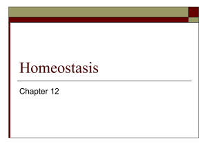 Chapter12Homeostasis - Copy