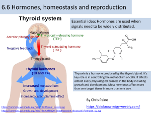 6.6 Hormones Homeostasis and Reproduction