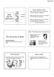 Leaving Cert Biology DNA Replication & Protein Synthesis
