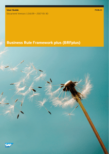 User Guide Business Rule Framework plus (BRFplus)