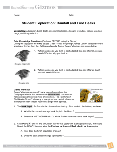 gizmos - Rainfall & Bird Beaks activity A B - student exploration worksheet