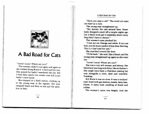 A Bad Road for Cats (1)