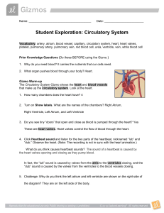 CirculatorySystemSE