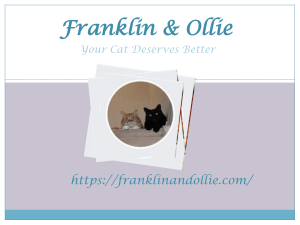 Franklin & Ollie PDF