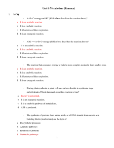 Unit 6  Metabolism