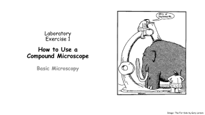 Lab microscope