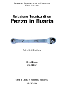 Relazione Paolo Fiorini 1.3
