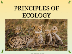 Editable PowerPoint - Principles of Ecology4