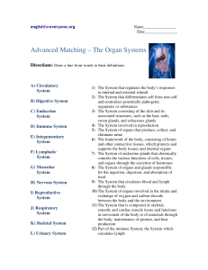Advanced Matching - Human Body Organ Systems