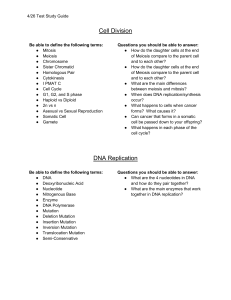 Cell Division, DNA Replication, Protein Synthesis Study Guide