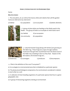 Grade 7 Interactions Environment Quiz