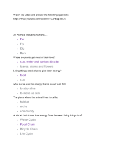 Food web and food chain video worksheet with answers