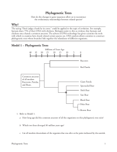 22 Phylogenetic Trees-S
