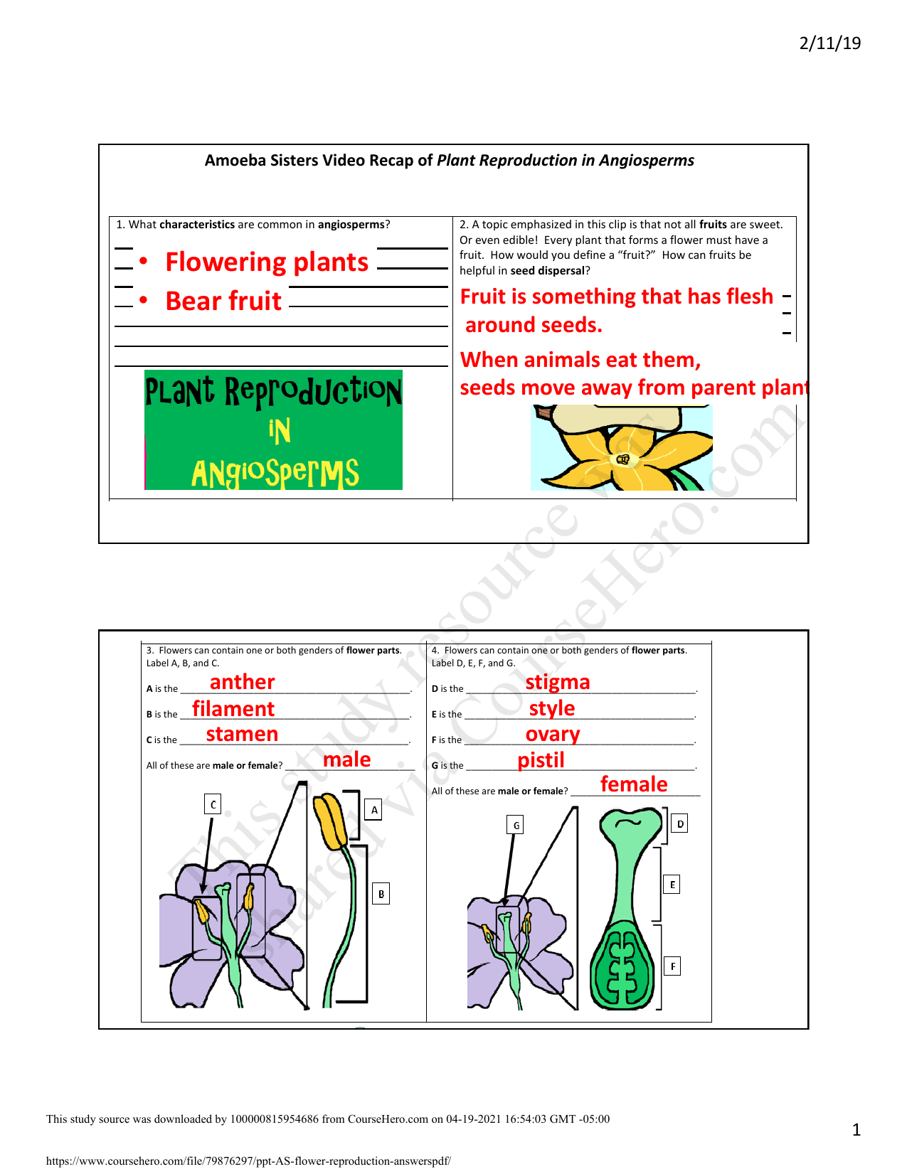 Ppt As Flower Reproduction Answers Pdf