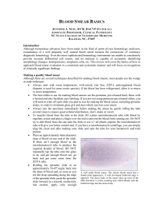 Blood Smear Basics: Preparation & Evaluation