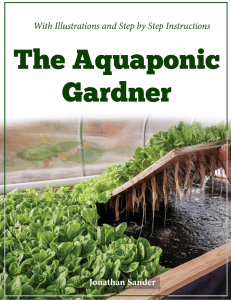 How to Grow Your Own Aquaponics System