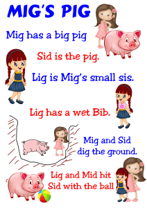 pig story