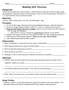 Modeling DNA  Structure