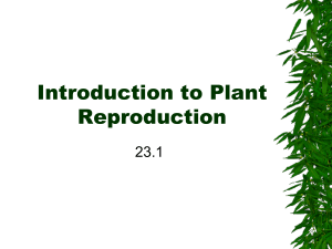 Chapter 23 Plant Reproduction