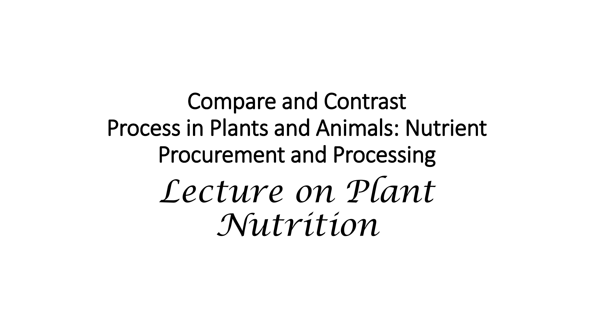 plant & animal nutrition