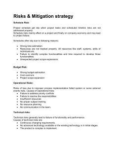 6. Risks and Mitigation Strategy.docx