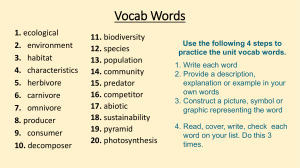 Year 9 Vocab Words