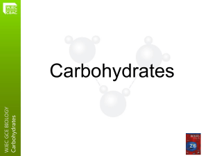 WJEC carbohydrates
