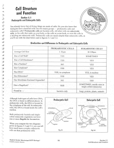 Cells Worksheets Packet