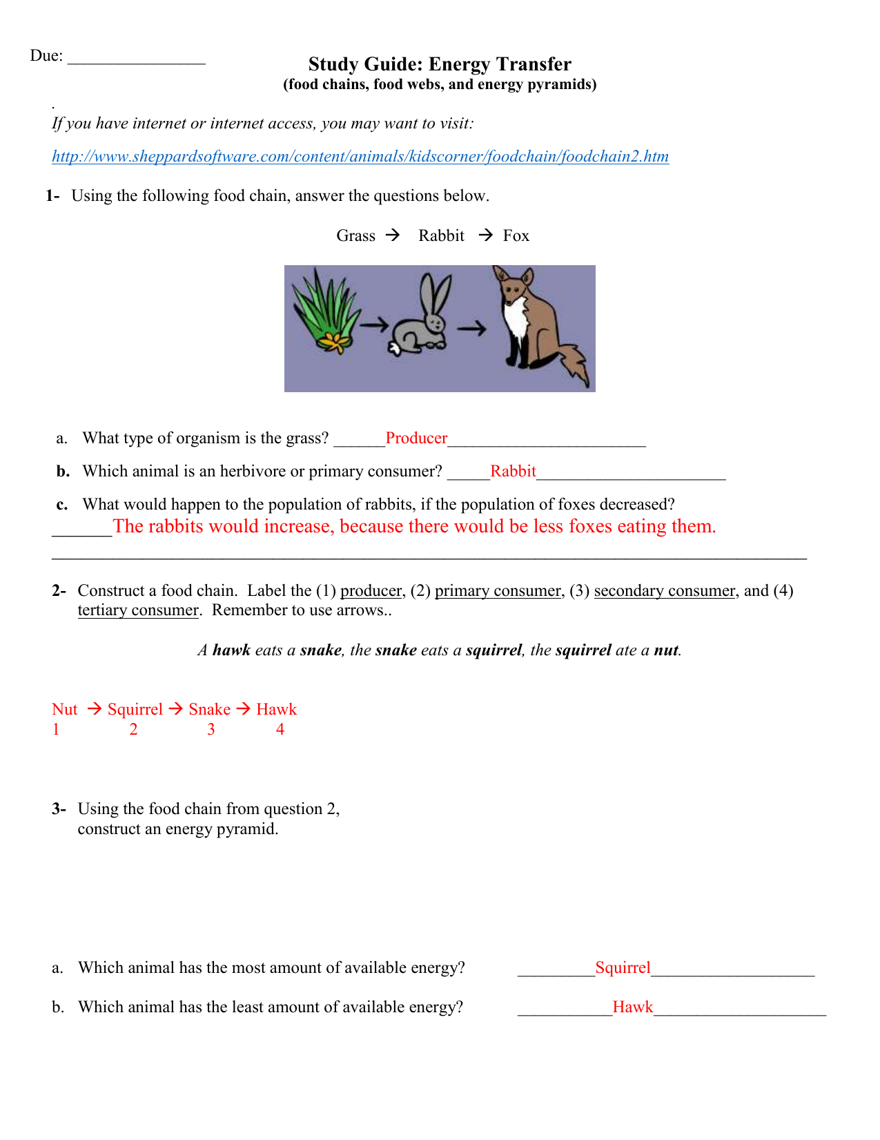Biology Food Worksheet Worksheets For Kindergarten