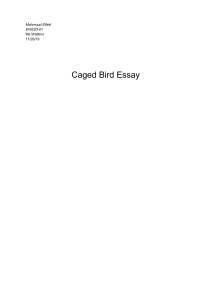 Caged Bird Essay