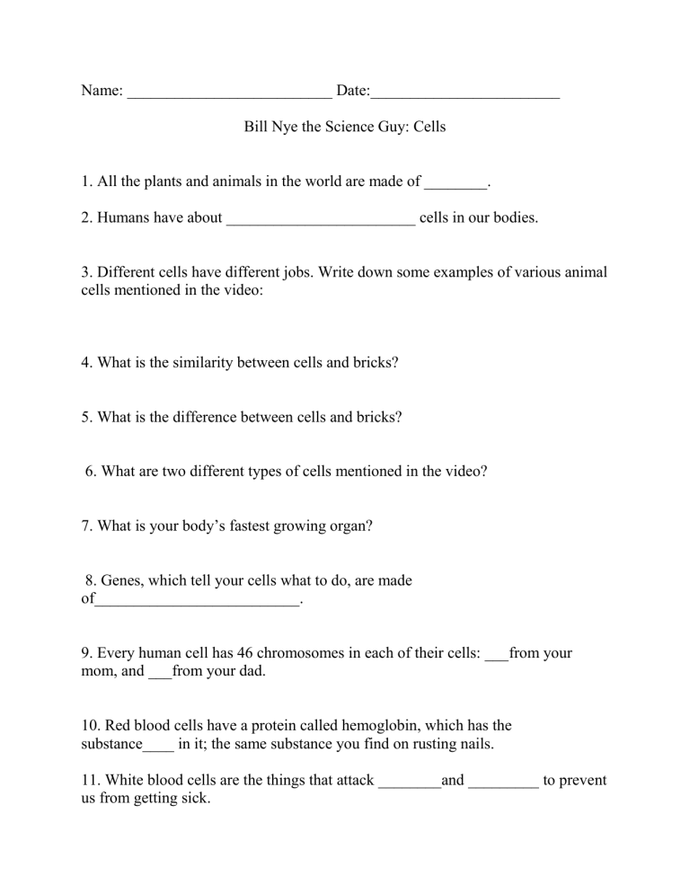 Bill Nye Cells Student Worksheet