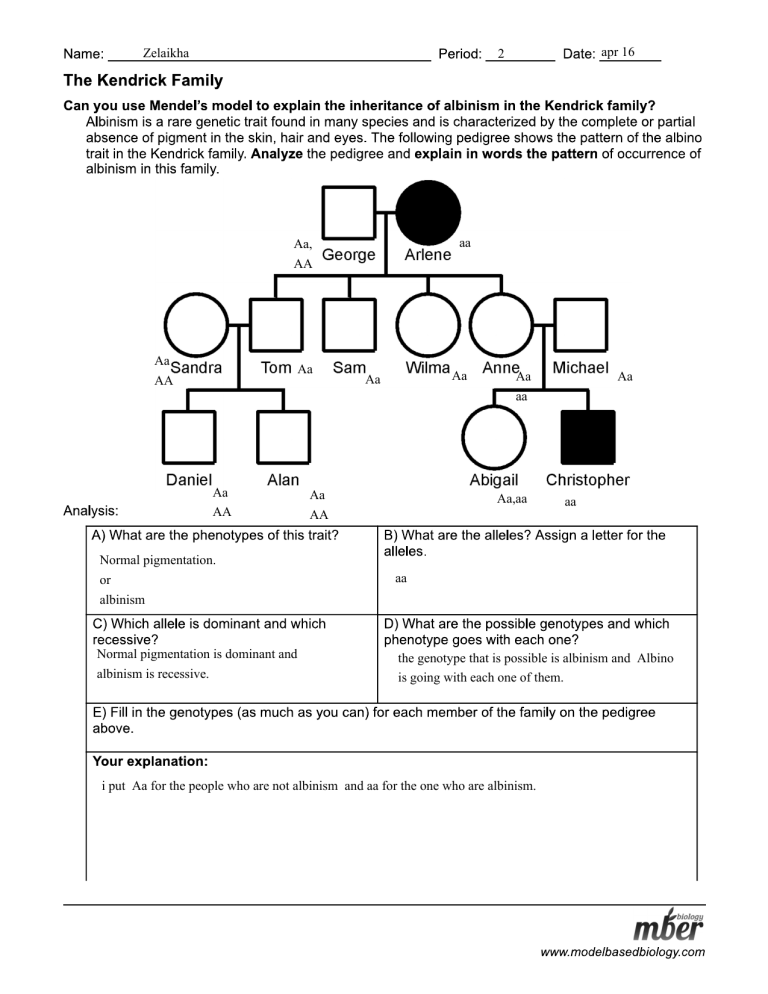 Albinism Genetics Kendrick Family Pedigree Analysis