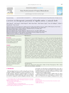 Therapeutic Potential of Nigella sativa