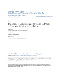 The Effects of Catalyst Free Fatty Acids and Water on Transesterification of beef tallow
