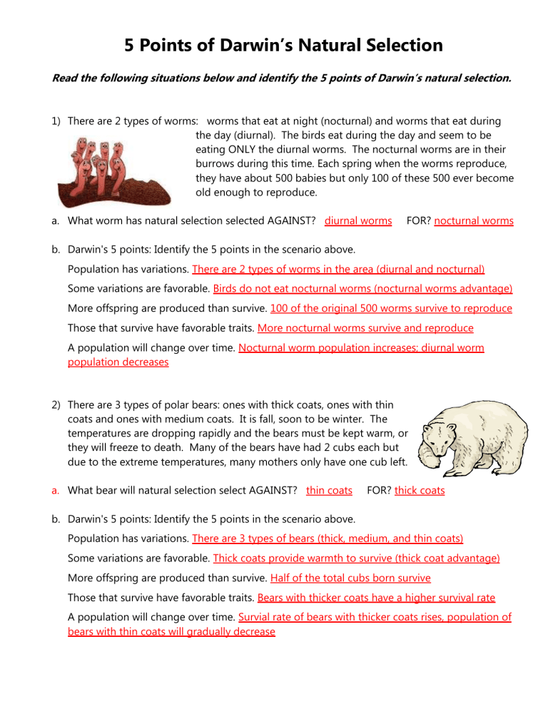critical thinking understanding natural selection worksheet answers
