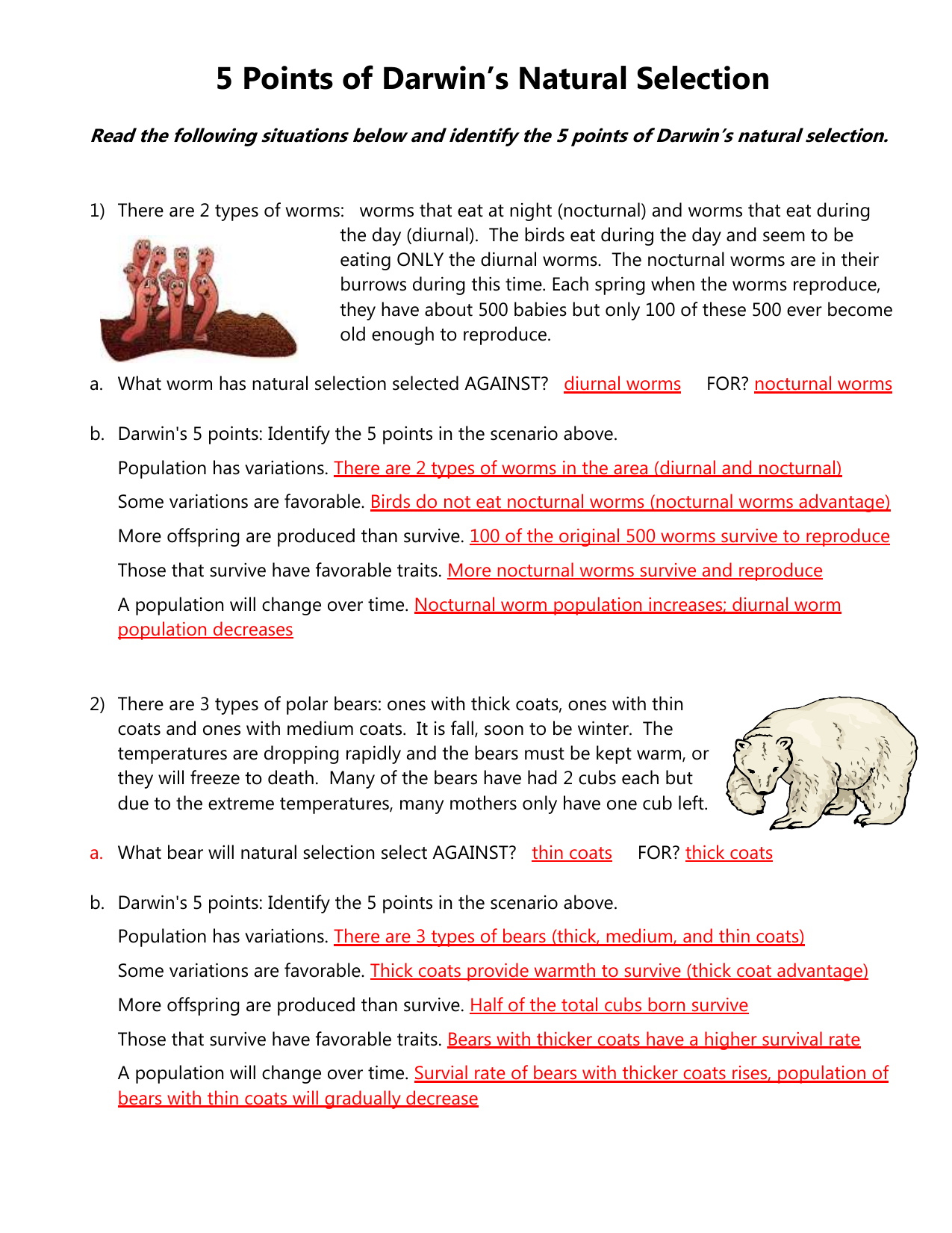 Types Of Selection Worksheets Answers