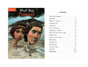 What Was Pompeii book Intro Ch 3