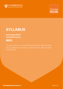 2019-2021-syllabus